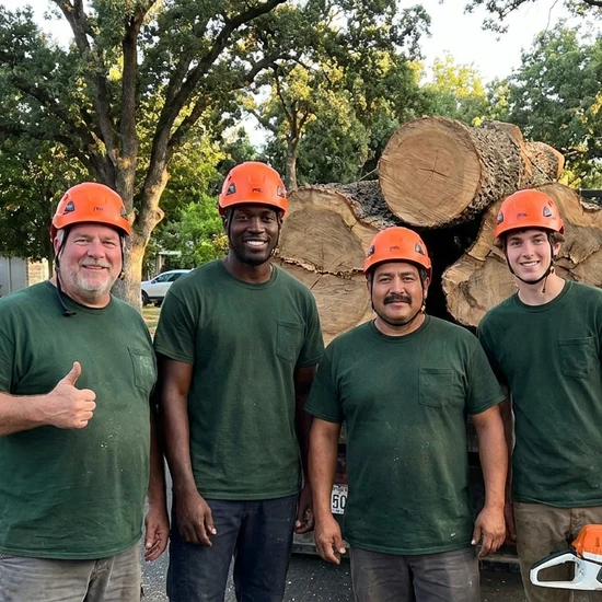 HLI tree crew with a truck loaded with oak logs in Riverside