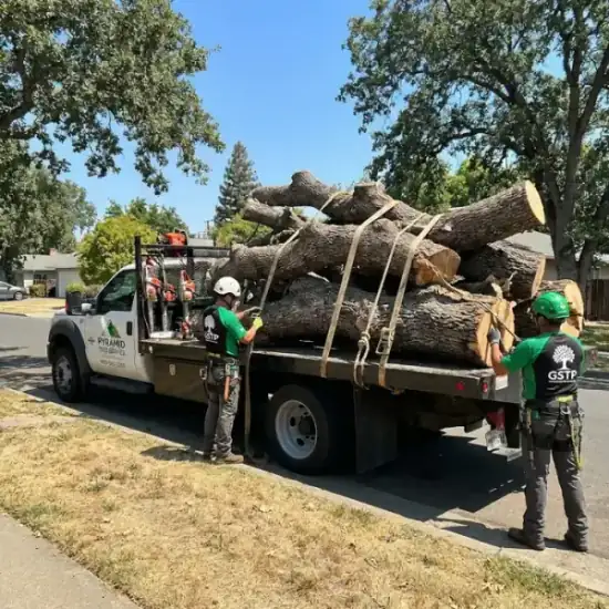 Tree service truck loaded with branches after a Riverside job
